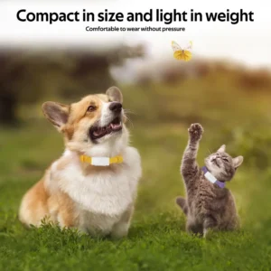 a happy dog and a curious outdoor car wearing a small collar gps tracker long battery life waterproof gps pet locator.