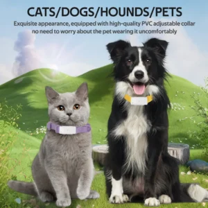 a happy dog and a curious cat wearing a small collar dog tracking device in a park.Peace of mind, safety, finding a lost pet.
