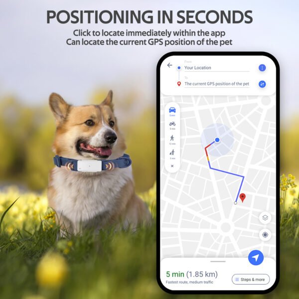 a smartphone showing history routine of a pet from the connected mini gps collar tracker.
