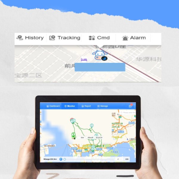 with a GPS Tracker attached to cows' collar, owner can track their cattle's real time location via smarphone APP and web tracking platform