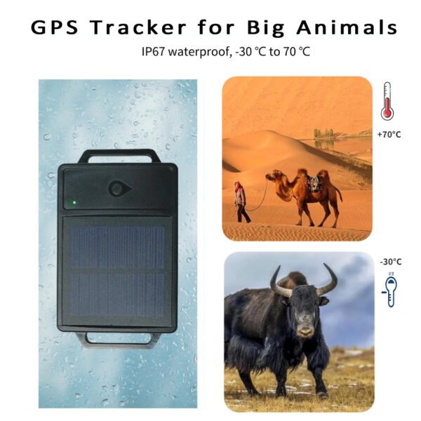 gps livestock tracker workable in extreme heat and cold enviroments for big animals